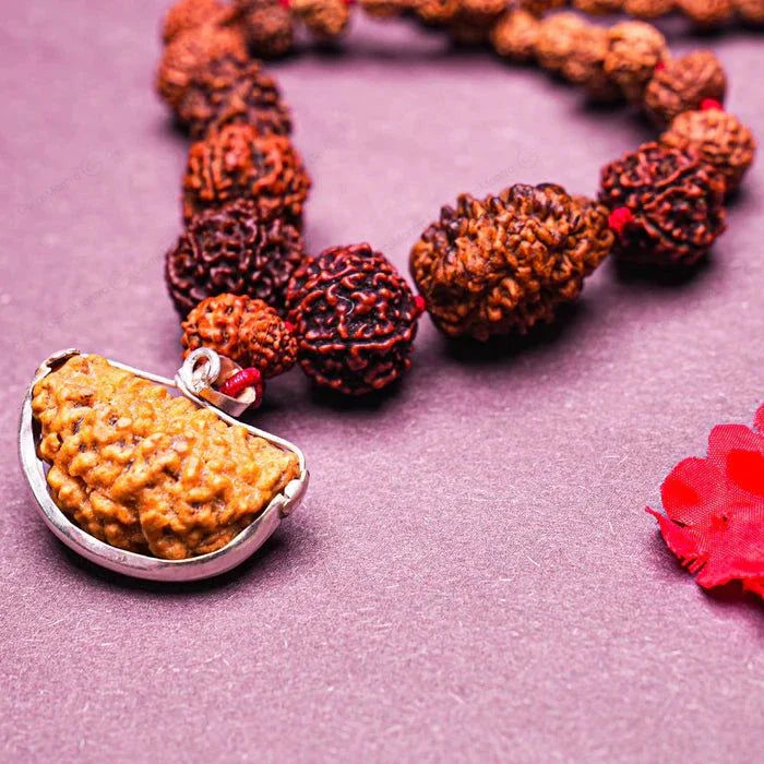 1-14 Mukhi Rudraksha Mala (Siddha Mala)