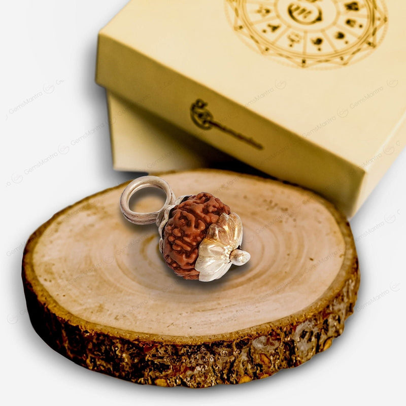 Natural 10 Mukhi Rudraksha (Indo)