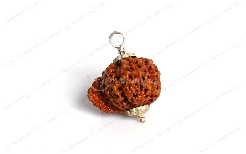 Natural Ganesha Rudraksha
