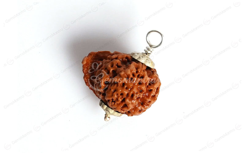 Natural Ganesha Rudraksha