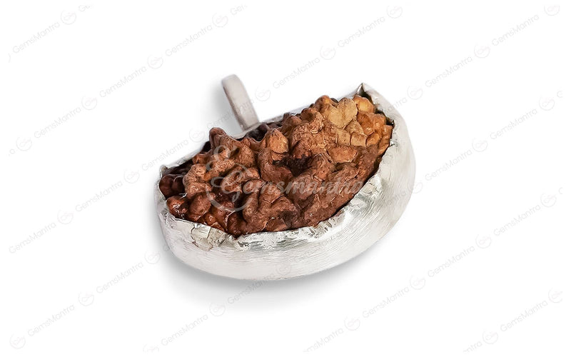 Natural 1 Mukhi Rudraksha (with Silver Pendant) - Indian