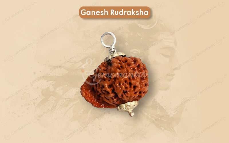 Natural Ganesha Rudraksha