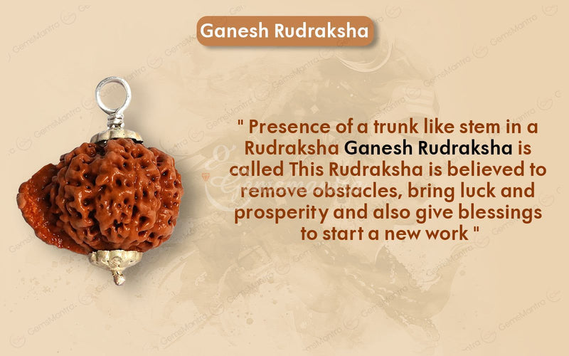 Natural Ganesha Rudraksha