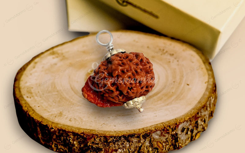 Natural Ganesha Rudraksha