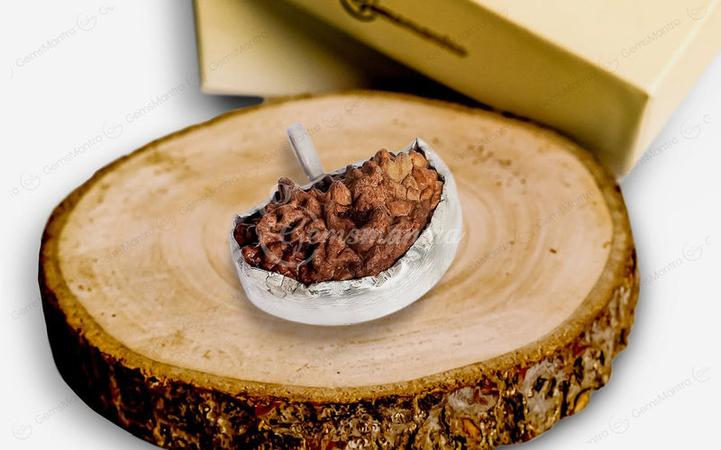 Natural 1 Mukhi Rudraksha (with Silver Pendant) - Indian