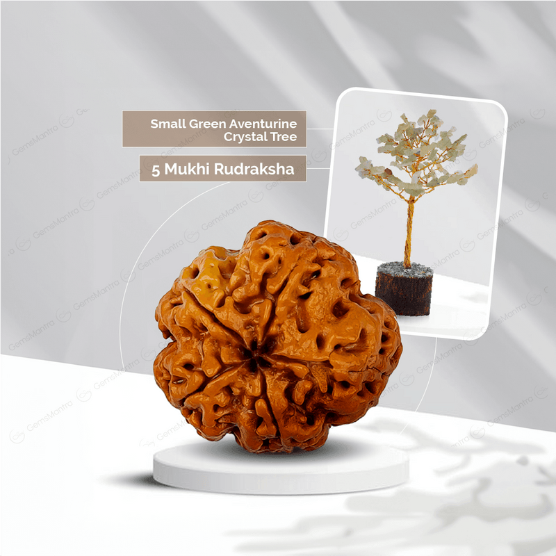 5 Mukhi Rudraksha + Small Green Aventurine Crystal Tree