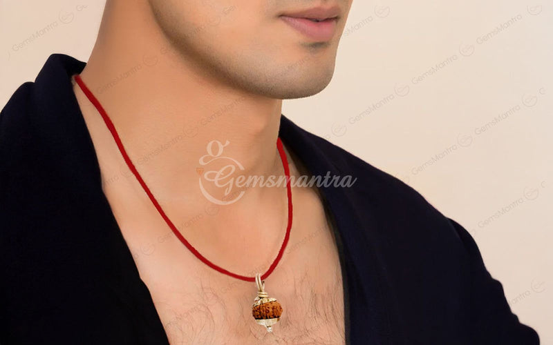 Natural 12 Mukhi Rudraksha (Indo)