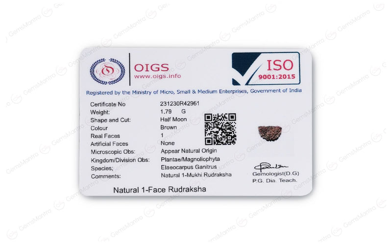 Natural 1 Mukhi Rudraksha (with Silver Pendant) - Indian