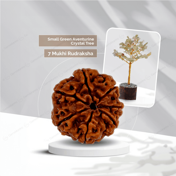 7 Mukhi Rudraksha + Small Green Aventurine Crystal Tree