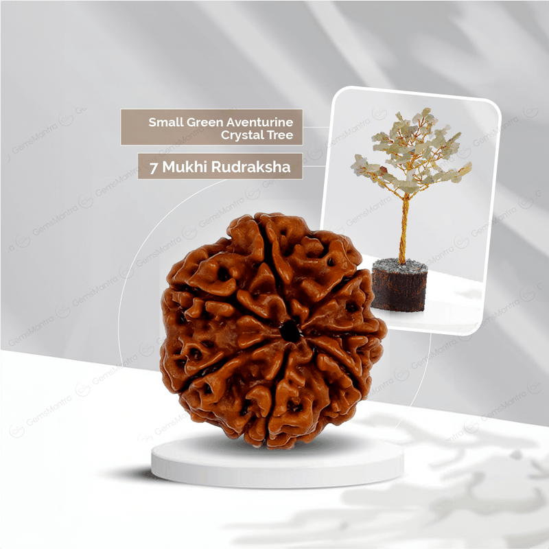 7 Mukhi Rudraksha + Small Green Aventurine Crystal Tree