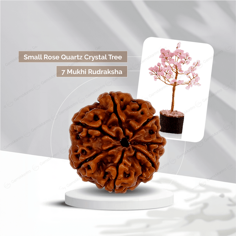 7 Mukhi Rudraksha + Small Rose Quartz Crystal Tree