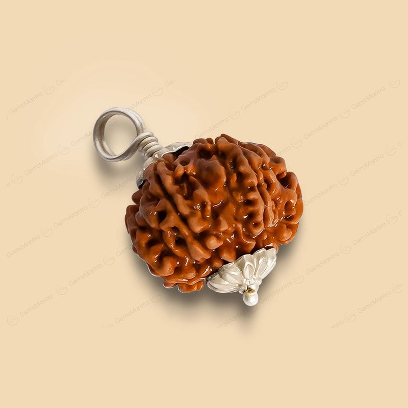 Natural 8 Mukhi Rudraksha (Indo)