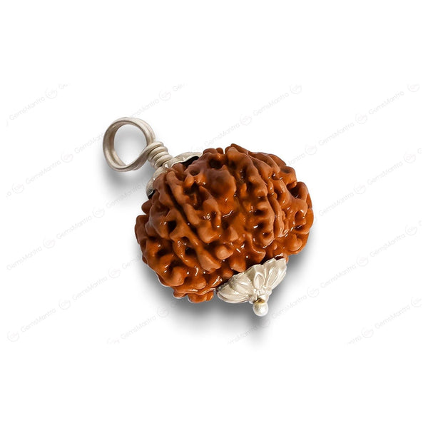 Natural 8 Mukhi Rudraksha (Indo)