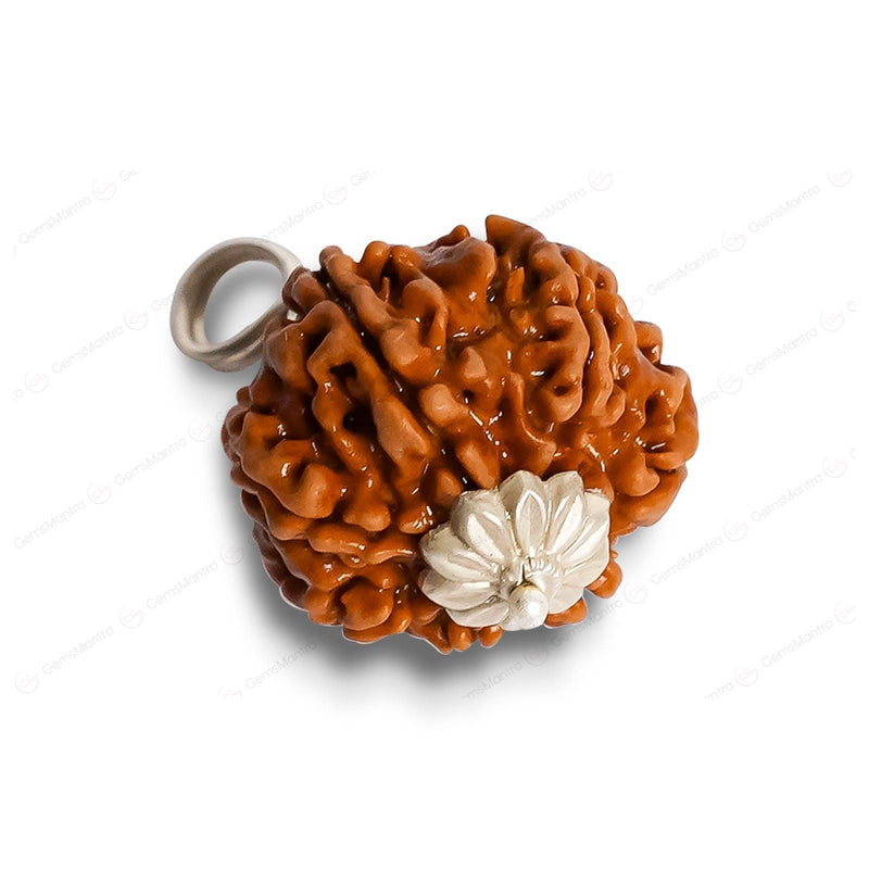 Natural 8 Mukhi Rudraksha (Indo)