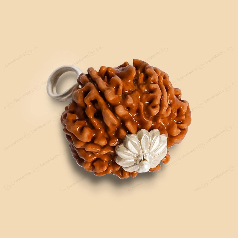 Natural 8 Mukhi Rudraksha (Indo)