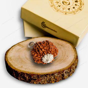 Natural 8 Mukhi Rudraksha (Indo)