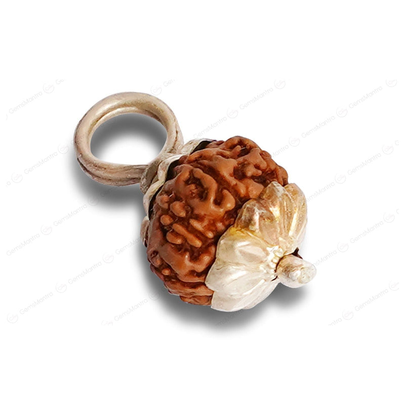 Natural 9 Mukhi Rudraksha (Indo)