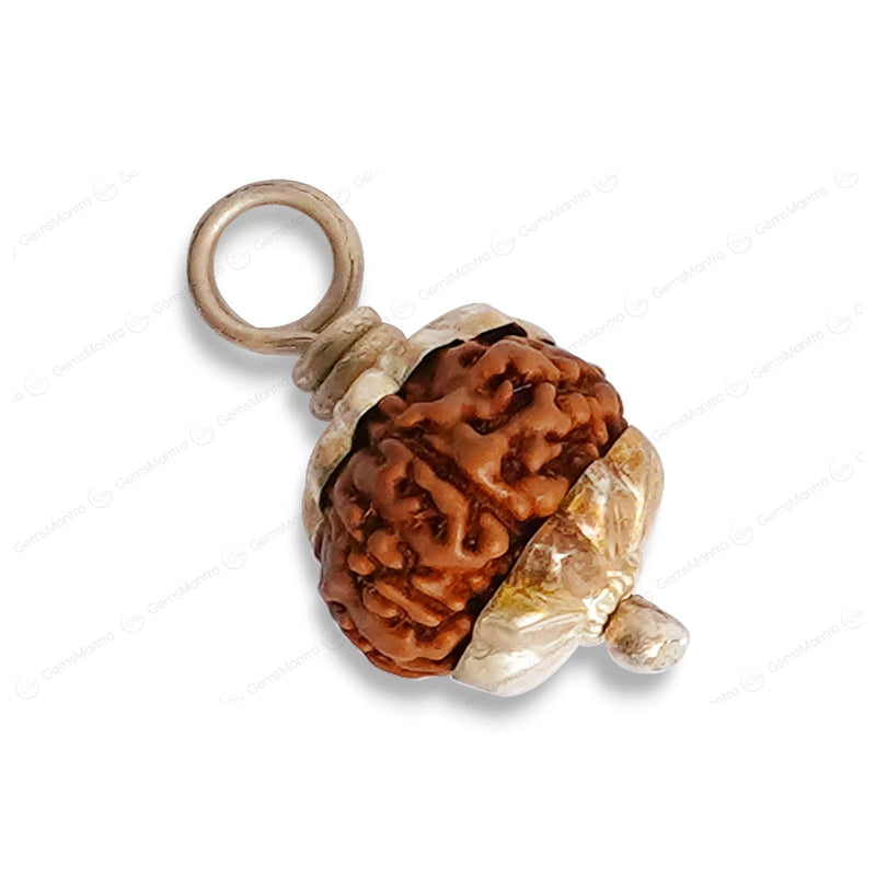 Natural 9 Mukhi Rudraksha (Indo)