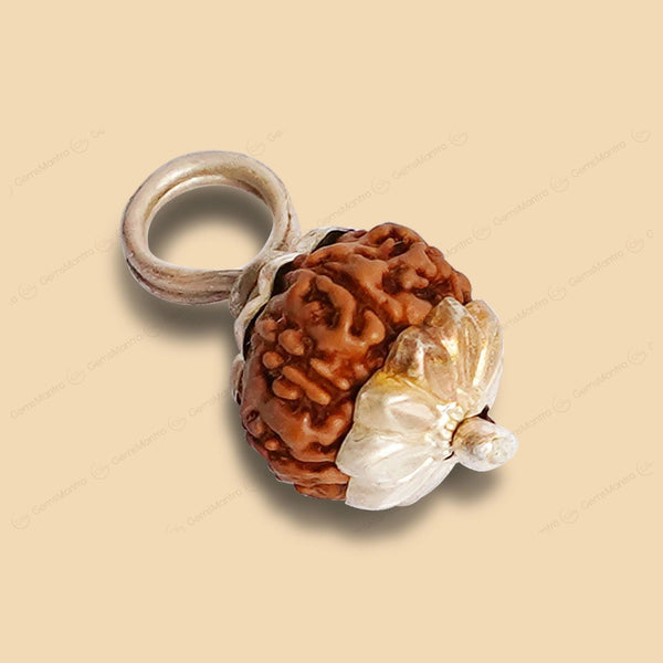 Natural 9 Mukhi Rudraksha (Indo)