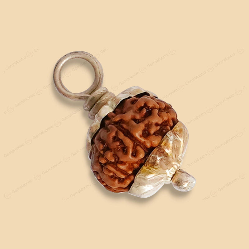 Natural 9 Mukhi Rudraksha (Indo)
