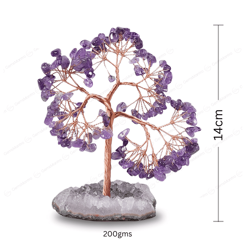 Amethyst Tree With Amethyst Cluster Tree Base
