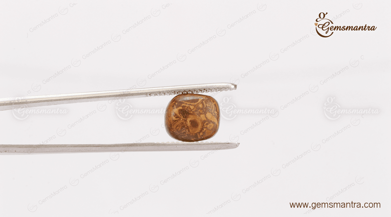 Brown Jasper ( 8.57 Ratti )