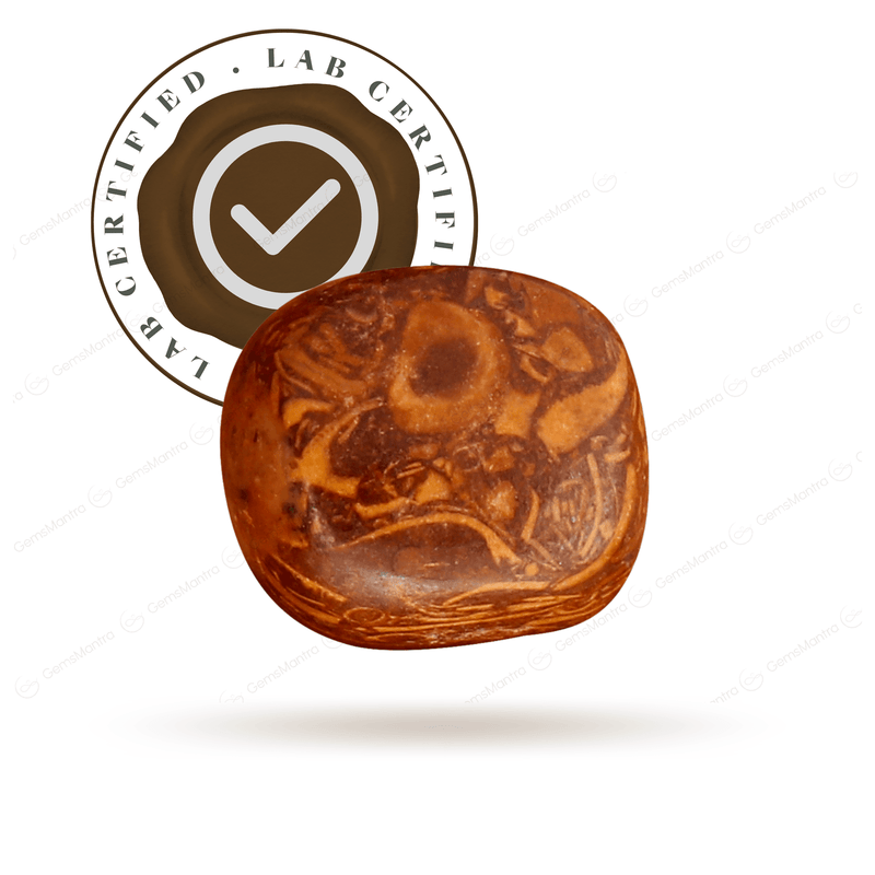 Brown Jasper Premium ( 10 Ratti )