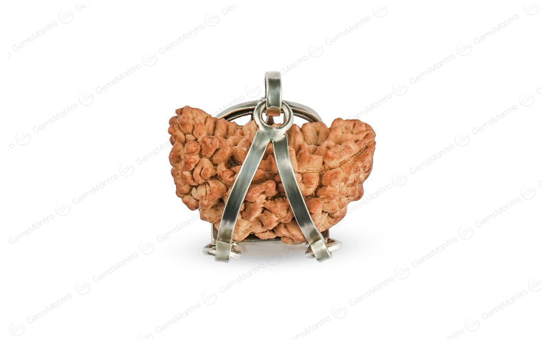 1 Mukhi Rudraksha Trishul Silver Pendant