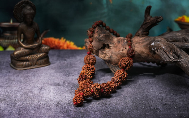 1-14 Mukhi Rudraksha Mala (Siddha Mala)
