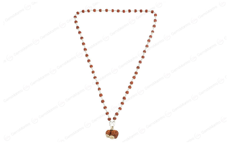 5 Mukhi Silver Rudraksha Mala - with Natural Gauri-Shankar Rudraksha Pendant