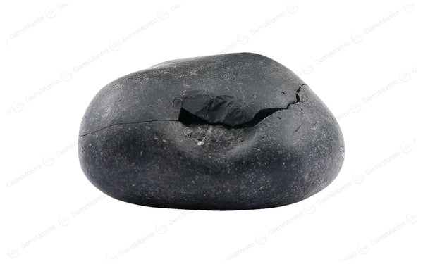 Shaligram