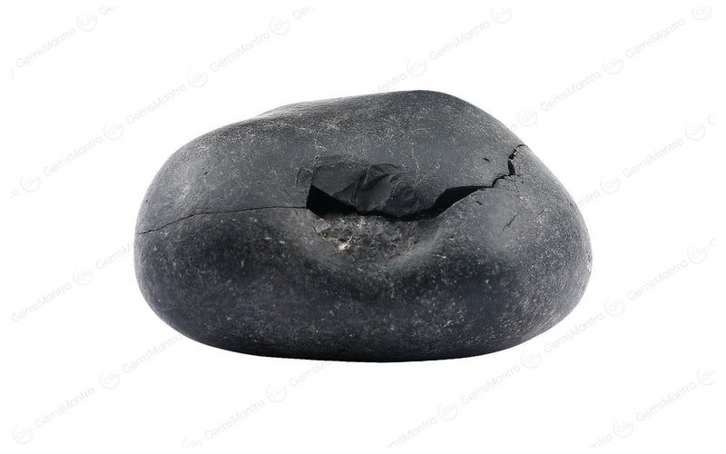 Shaligram