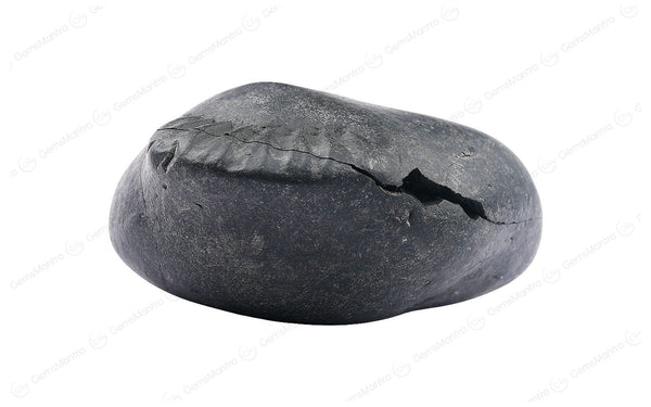Shaligram
