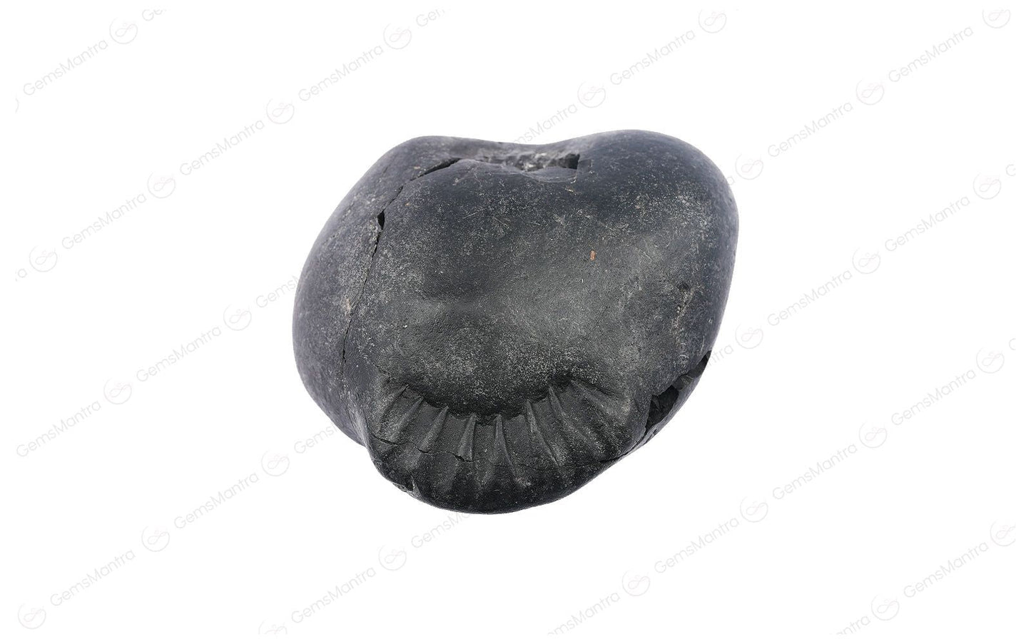 Shaligram