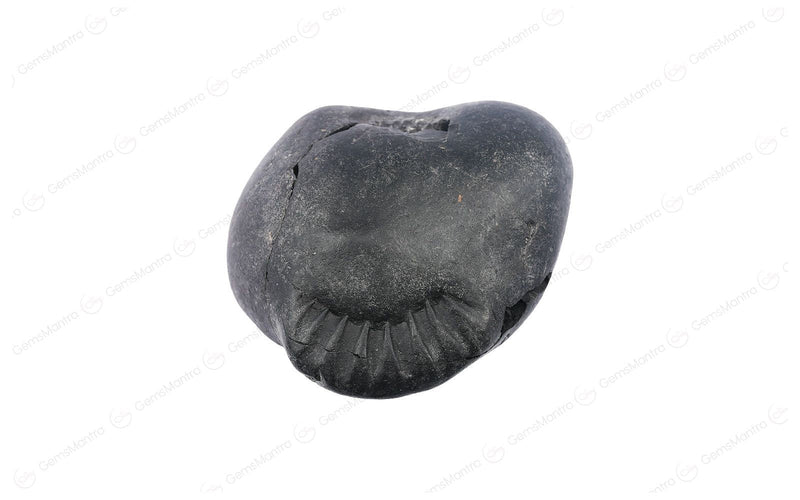Shaligram