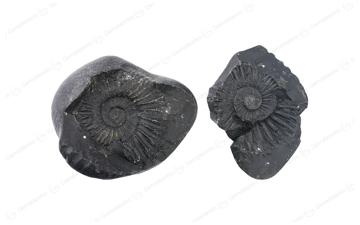 Shaligram