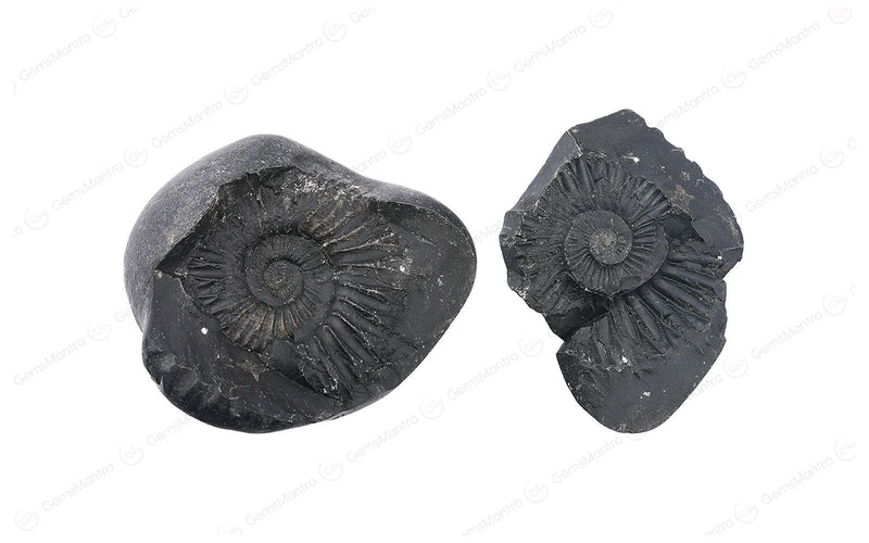 Shaligram