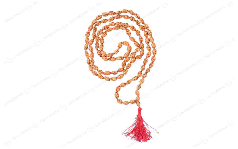 2 Mukhi Japa Rudraksha Mala