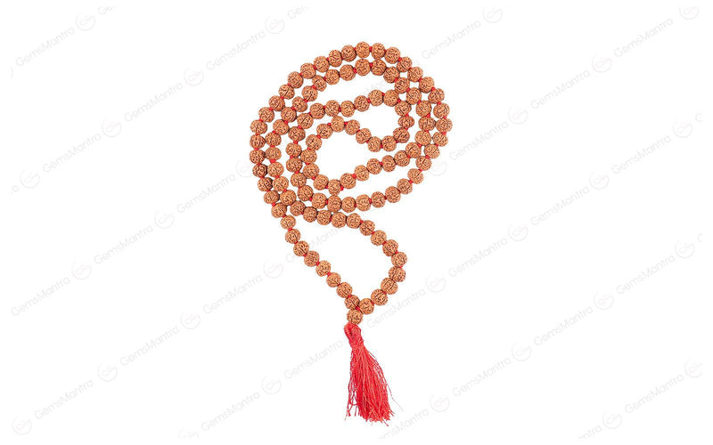 6 Mukhi Japa Rudraksha Mala