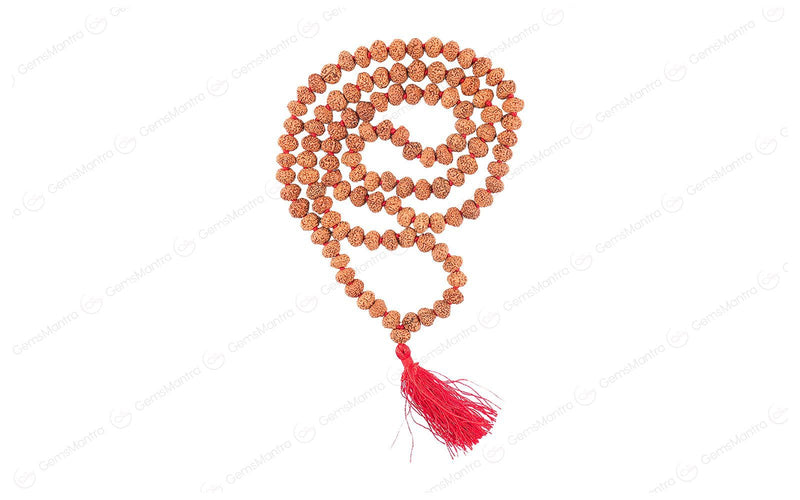 7 Mukhi Japa Rudraksha Mala
