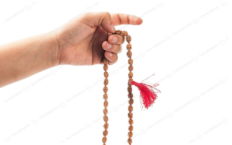 3 Mukhi Japa Rudraksha Mala