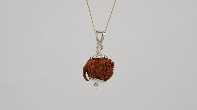 Natural Ganesha Rudraksha