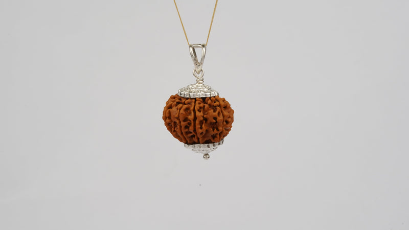 Natural 9 Mukhi Rudraksha (Nepali)