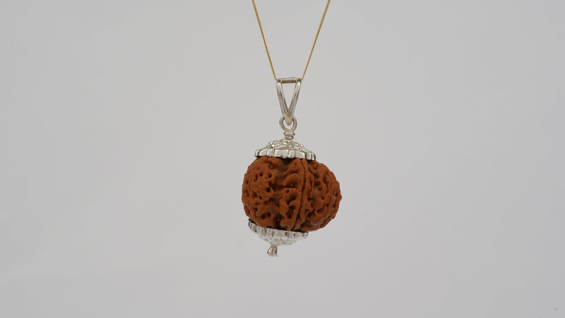 Natural 8 Mukhi Rudraksha (Nepali)