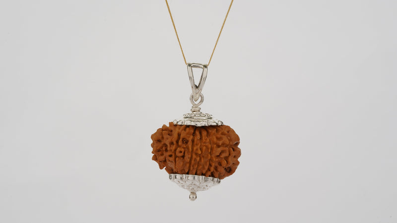 Natural 12 Mukhi Rudraksha (Nepali)