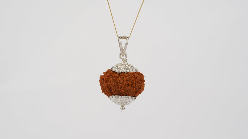 Natural 13 Mukhi Rudraksha (Nepali)