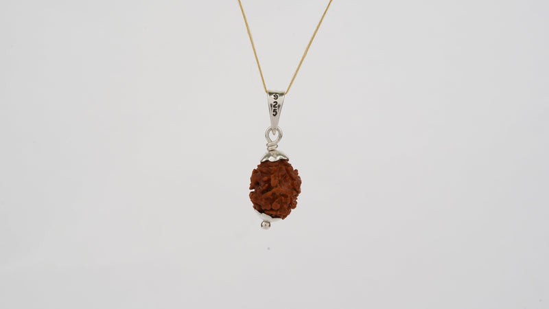 Natural 2 Mukhi Rudraksha (Nepali)