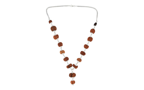 1-14 Mukhi Rudraksha Mala (Siddha Mala)