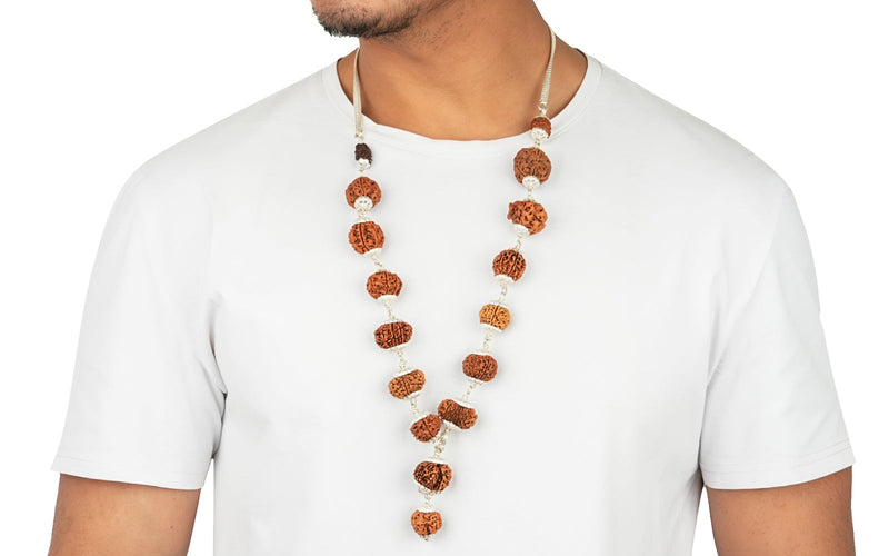 1-14 Mukhi Rudraksha Mala (Siddha Mala) with 1 Mukhi Sawar Rudraksha