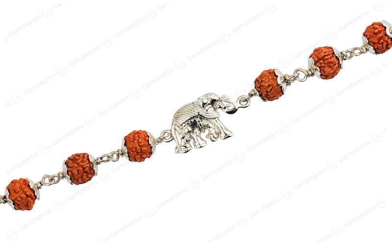 5 Mukhi Rudraksha Silver Elephant Bracelet for Kids - 5 Beads